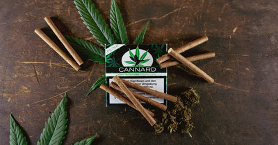 CBD-Cigarillos